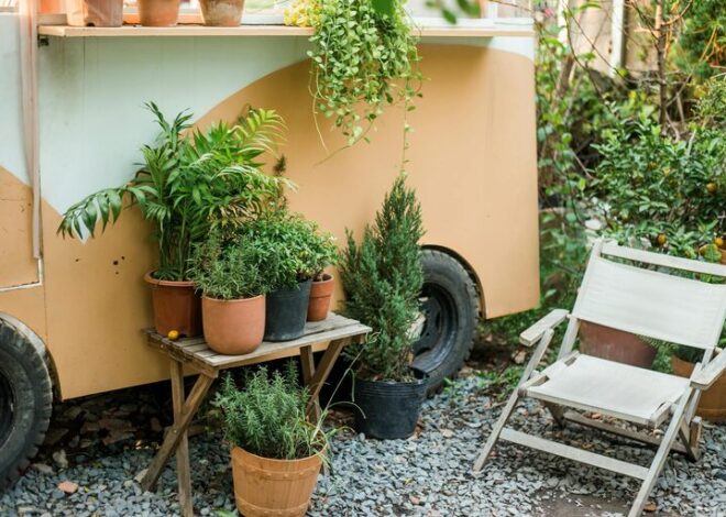 Tips for Creating a Relaxing Garden Space at Home